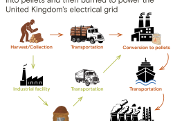 The UK quit coal. But is burning Louisiana’s trees any better?